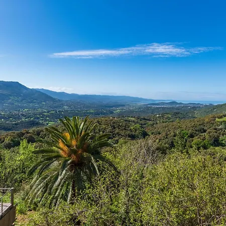 Villa Alta Vista , Avec Piscine Privee Et Vue Exceptionnelle Pres D'ajaccio Sarrola-Carcopino