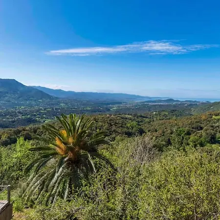 Alta Vista , Avec Piscine Privee Et Vue Exceptionnelle Pres D'ajaccio 別荘 Sarrola-Carcopino